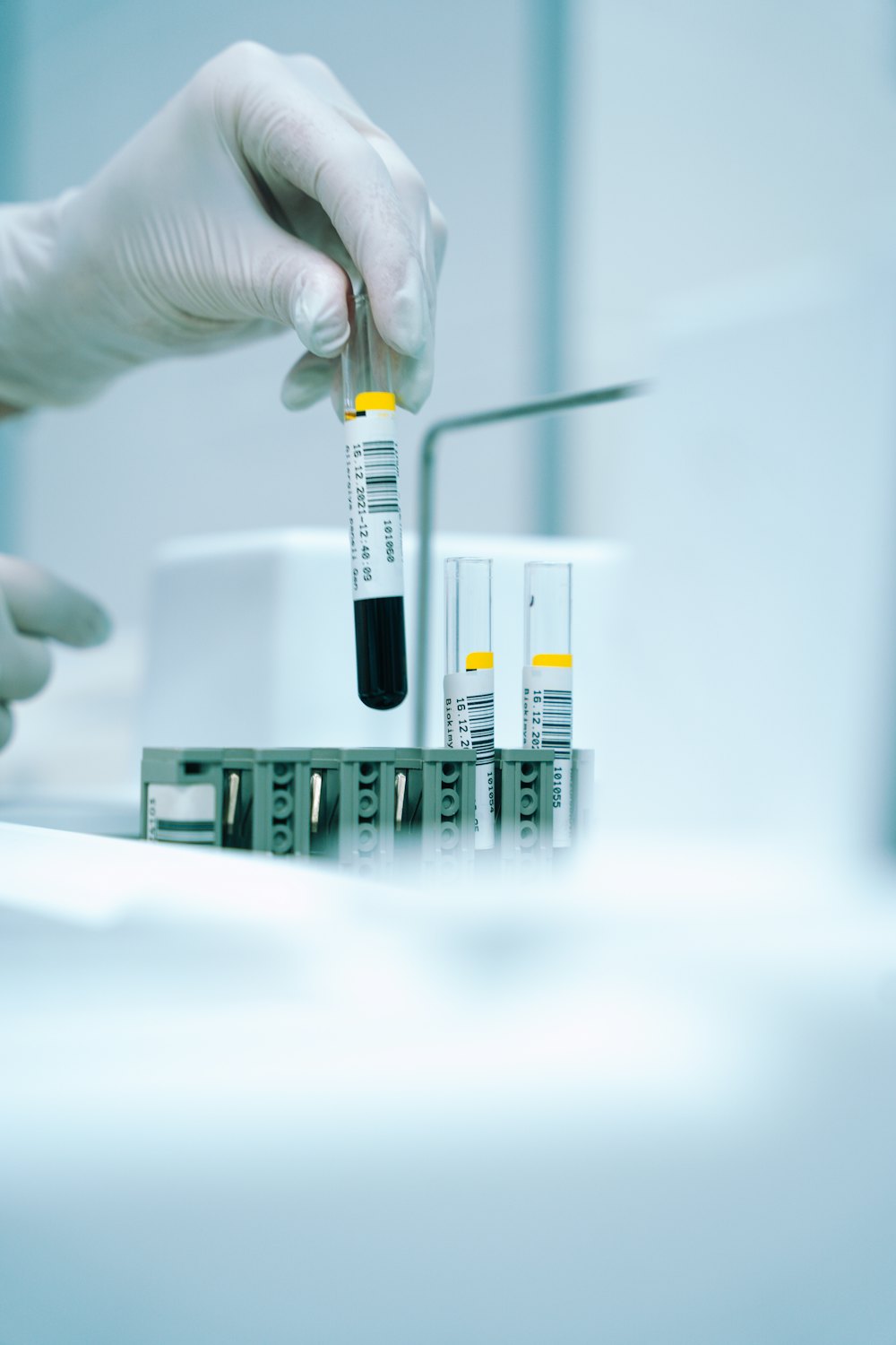 A gloved hand holding up a laboratory test tube